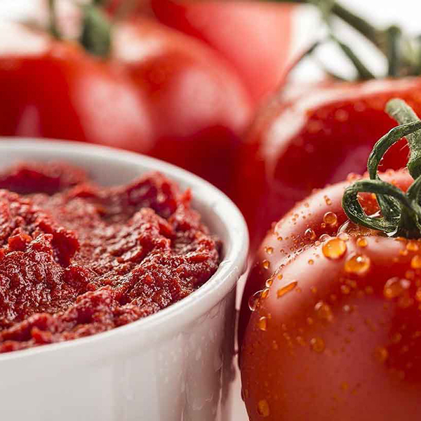 آموزش طرح توجیهی تولید رب گوجه فرنگی