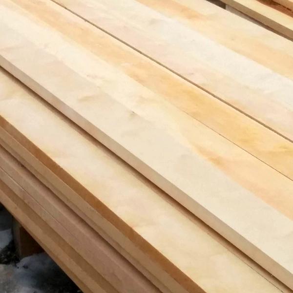 Birch Betula wood
