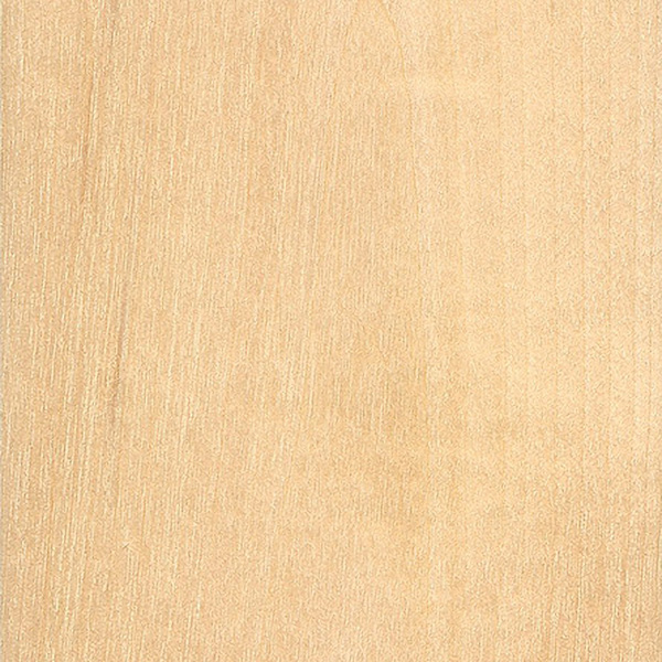 Patterns of birch betula wood