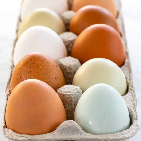 Different colors of eggs