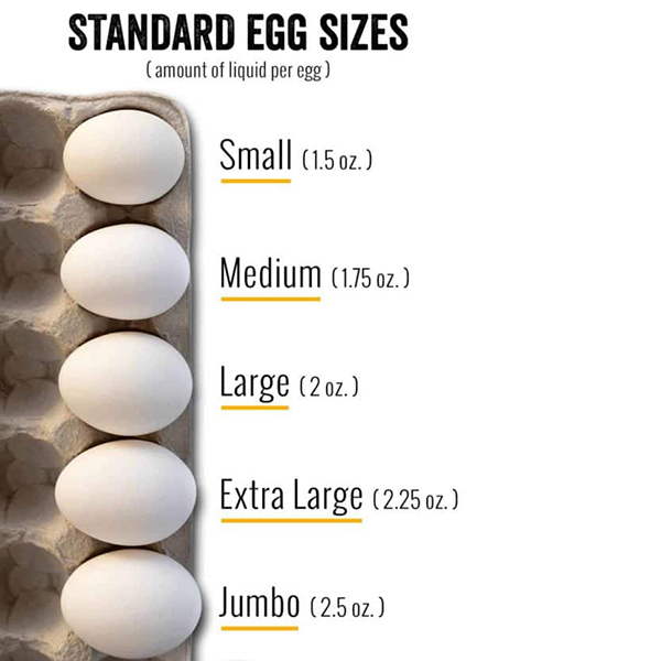 سایز استاندارد تخم مرغ